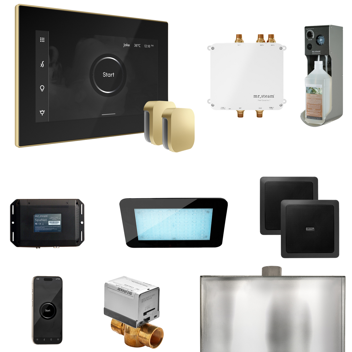Mr. Steam Bliss Max Steam Shower Control Package with iSteamX Control and Steamhead Mr. Steam