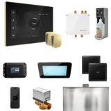 Mr. Steam Bliss Max Steam Shower Control Package with iSteamX Control and Steamhead Mr. Steam
