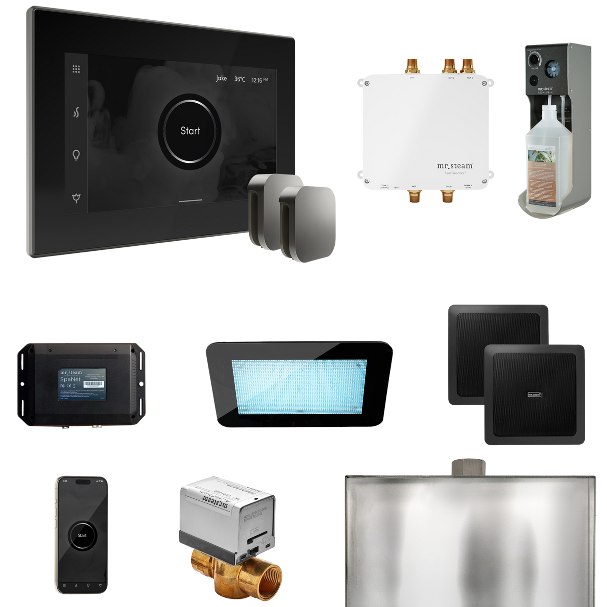 Mr. Steam Bliss Max Steam Shower Control Package with iSteamX Control and Steamhead Mr. Steam