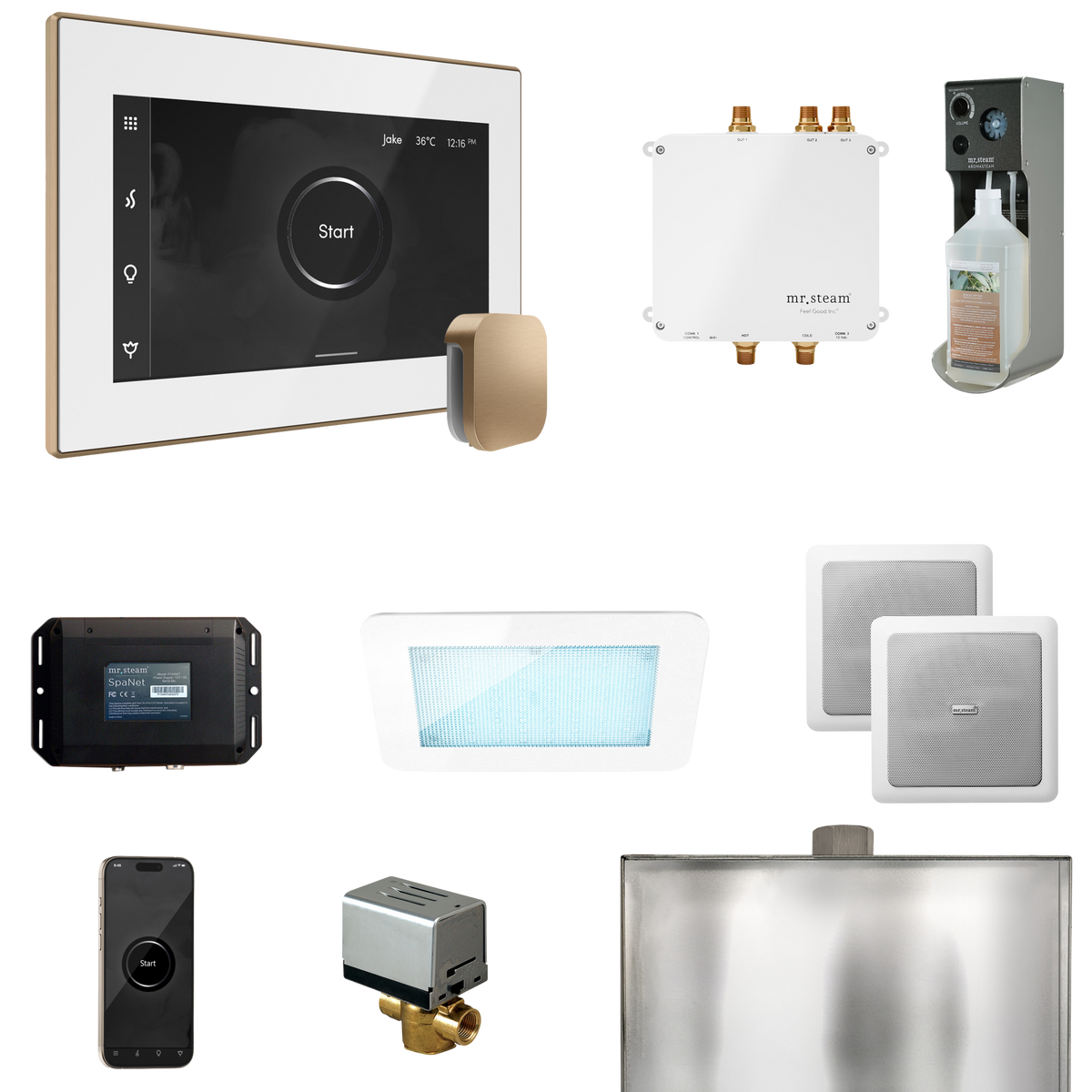 Mr. Steam Bliss Steam Shower Control Package with iSteamX Control and Steamhead Mr. Steam