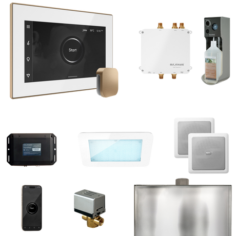 Mr. Steam Bliss Steam Shower Control Package with iSteamX Control and Steamhead Mr. Steam