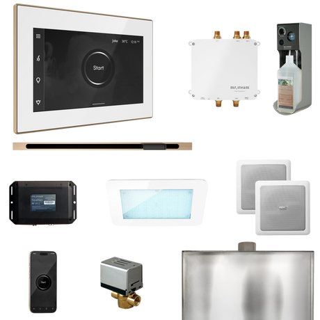 Mr. Steam Bliss Steam Shower Control Package with iSteamX Control and Linear Steamhead Mr. Steam