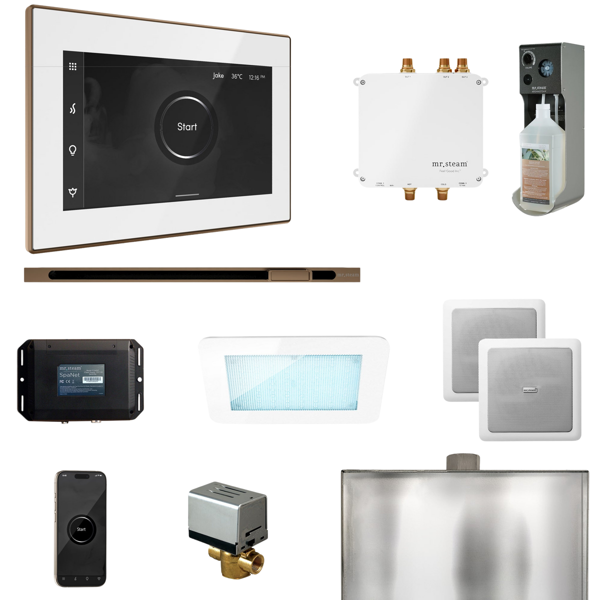 Mr. Steam Bliss Steam Shower Control Package with iSteamX Control and Linear Steamhead Mr. Steam