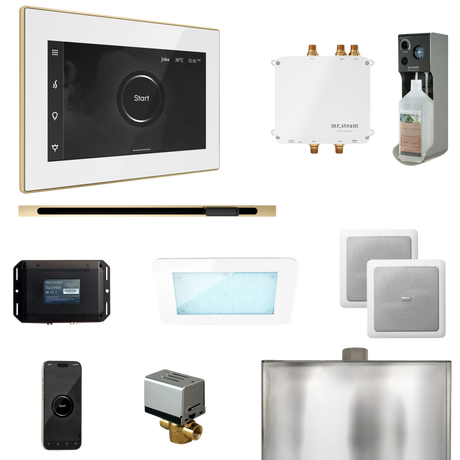 Mr. Steam Bliss Steam Shower Control Package with iSteamX Control and Linear Steamhead Mr. Steam