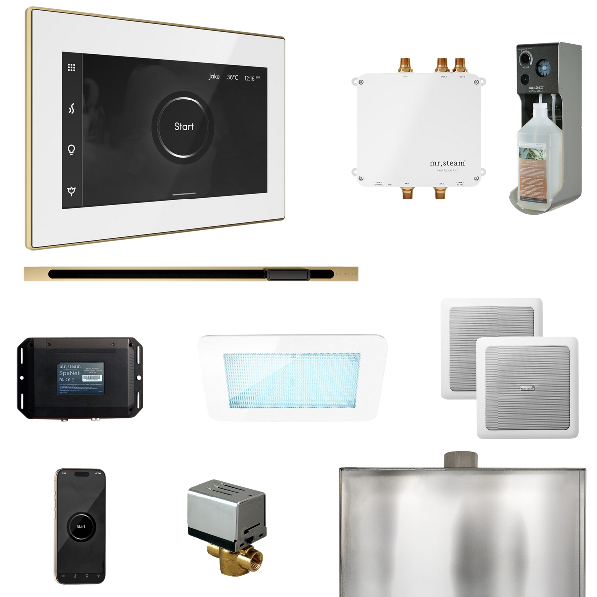 Mr. Steam Bliss Steam Shower Control Package with iSteamX Control and Linear Steamhead Mr. Steam