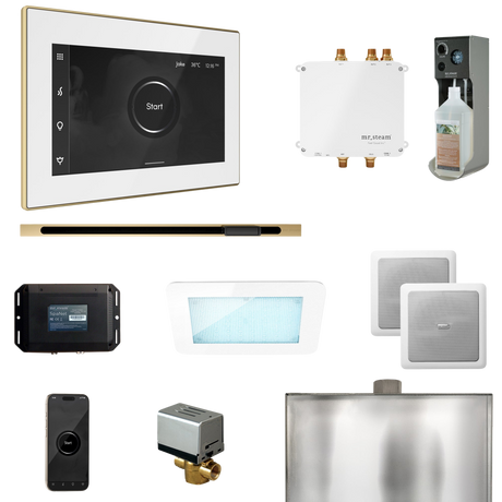 Mr. Steam Bliss Steam Shower Control Package with iSteamX Control and Linear Steamhead Mr. Steam