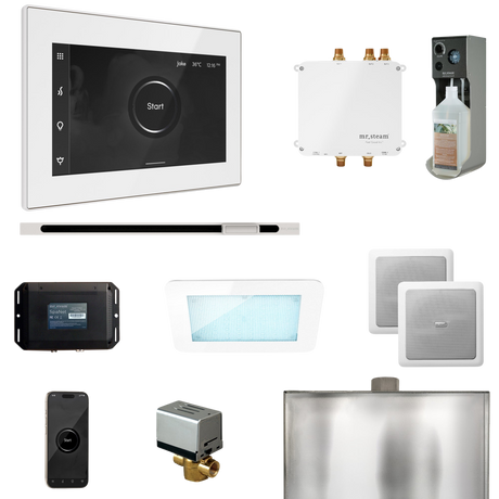 Mr. Steam Bliss Steam Shower Control Package with iSteamX Control and Linear Steamhead Mr. Steam