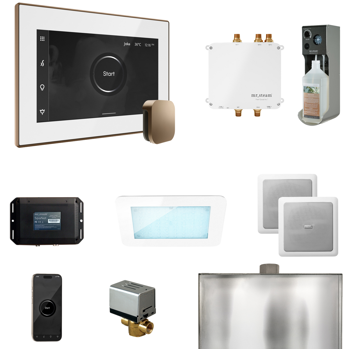 Mr. Steam Bliss Steam Shower Control Package with iSteamX Control and Steamhead Mr. Steam