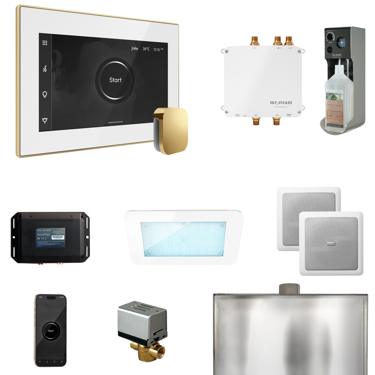 Mr. Steam Bliss Steam Shower Control Package with iSteamX Control and Steamhead Mr. Steam