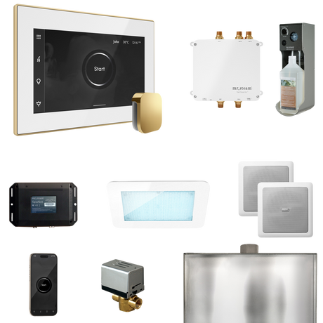 Mr. Steam Bliss Steam Shower Control Package with iSteamX Control and Steamhead Mr. Steam
