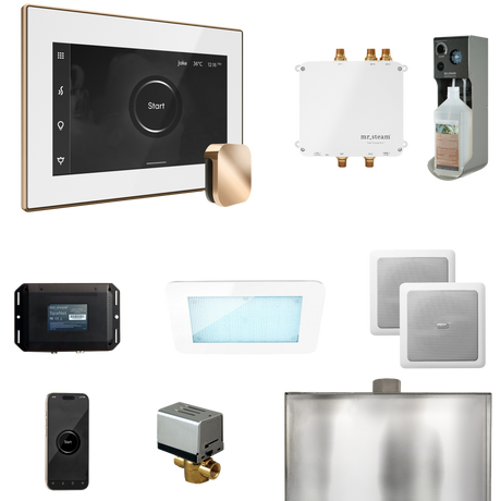 Mr. Steam Bliss Steam Shower Control Package with iSteamX Control and Steamhead Mr. Steam