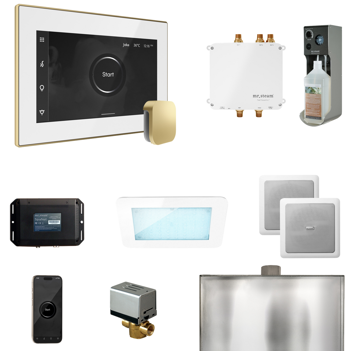 Mr. Steam Bliss Steam Shower Control Package with iSteamX Control and Steamhead Mr. Steam
