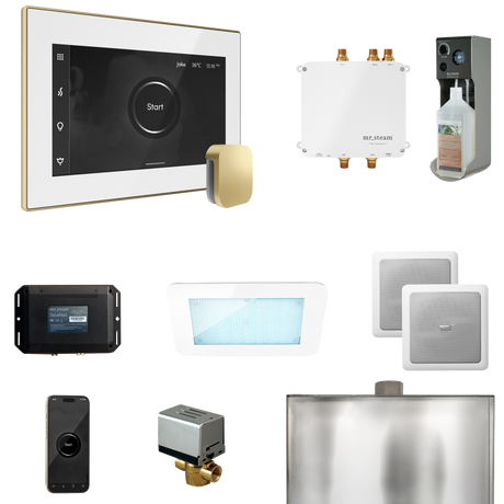 Mr. Steam Bliss Steam Shower Control Package with iSteamX Control and Steamhead Mr. Steam