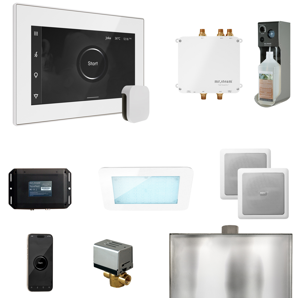 Mr. Steam Bliss Steam Shower Control Package with iSteamX Control and Steamhead Mr. Steam
