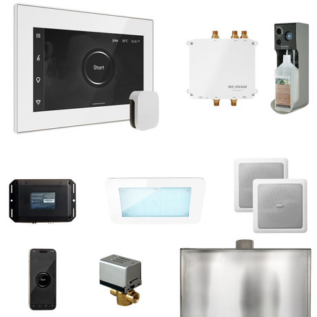 Mr. Steam Bliss Steam Shower Control Package with iSteamX Control and Steamhead Mr. Steam