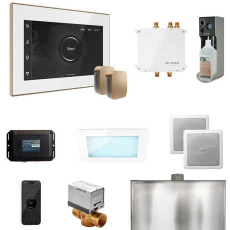 Mr. Steam Bliss Max Steam Shower Control Package with iSteamX Control and Steamhead Mr. Steam