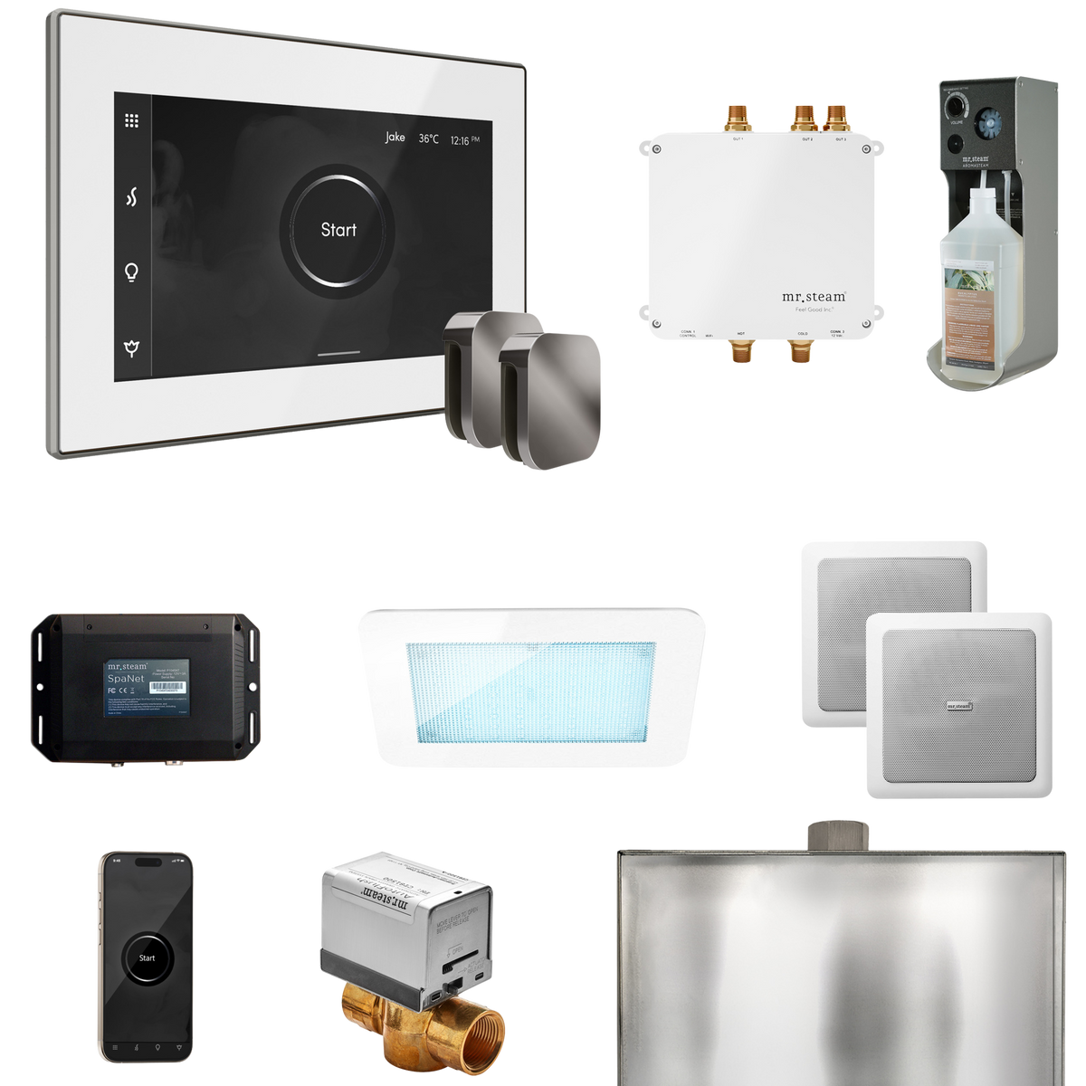 Mr. Steam Bliss Max Steam Shower Control Package with iSteamX Control and Steamhead Mr. Steam