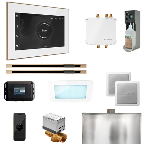 Mr. Steam Bliss Max Steam Shower Control Package with iSteamX Control and Linear Steamhead Mr. Steam