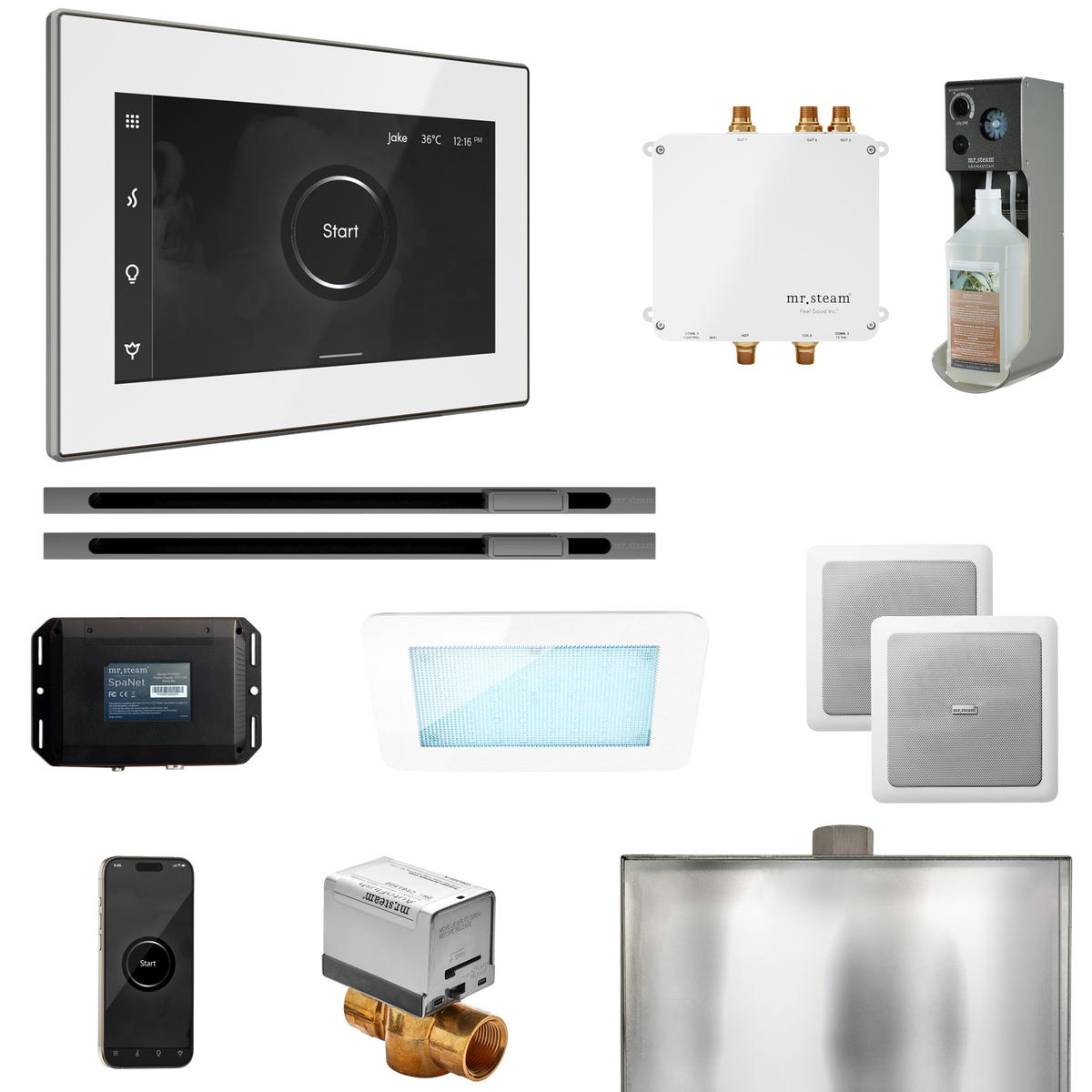 Mr. Steam Bliss Max Steam Shower Control Package with iSteamX Control and Linear Steamhead Mr. Steam