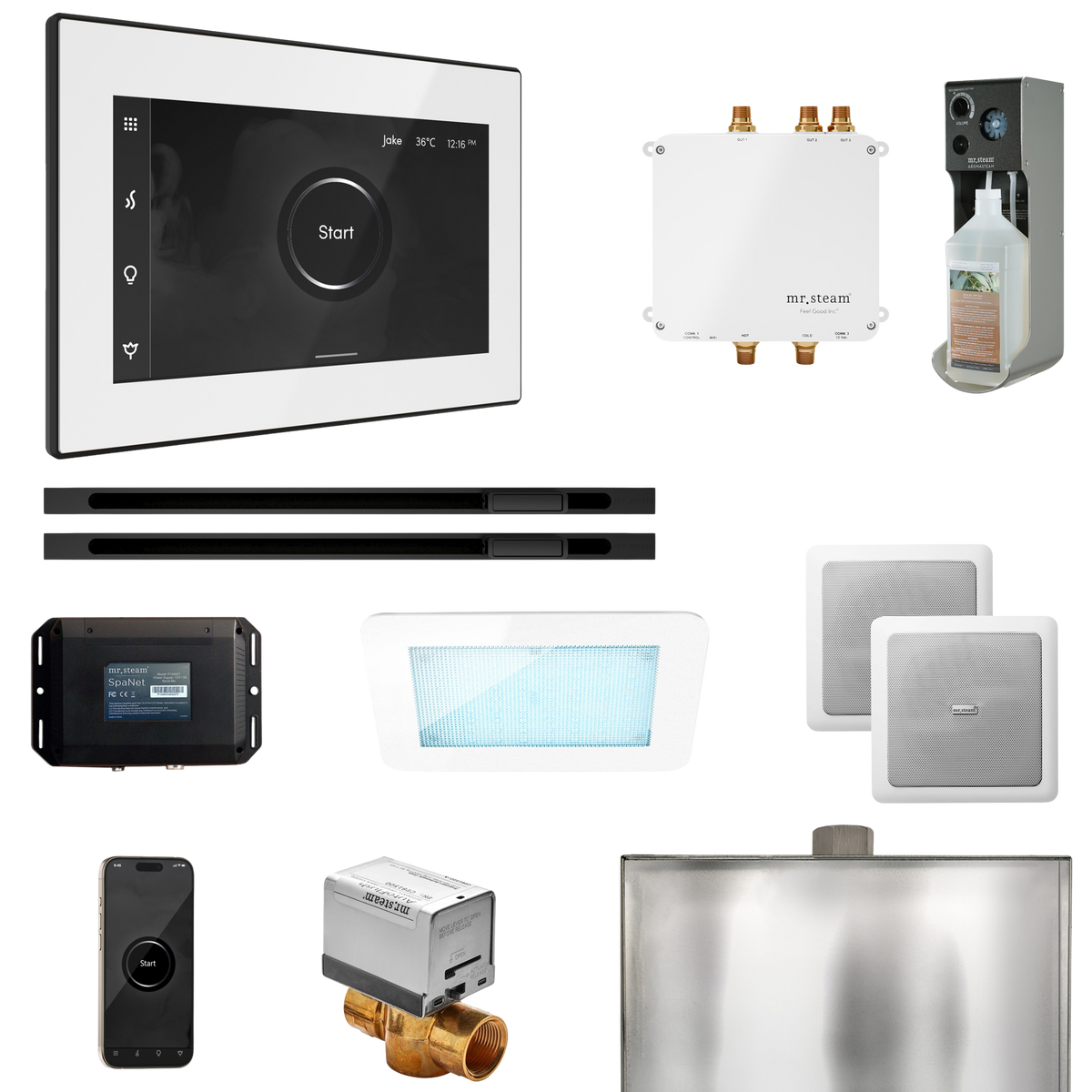 Mr. Steam Bliss Max Steam Shower Control Package with iSteamX Control and Linear Steamhead Mr. Steam
