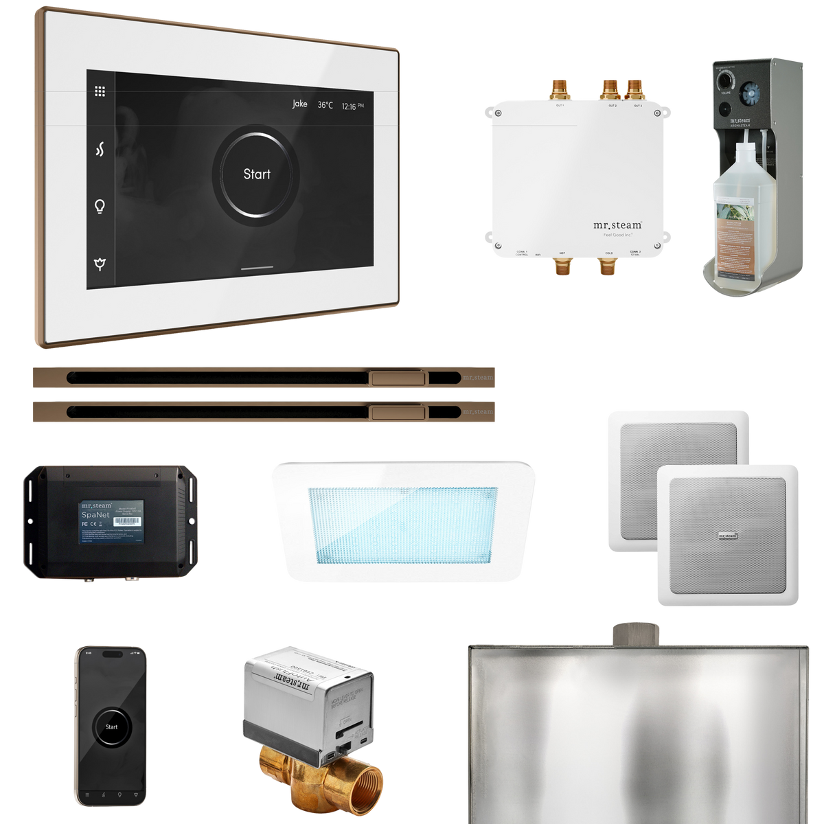 Mr. Steam Bliss Max Steam Shower Control Package with iSteamX Control and Linear Steamhead Mr. Steam