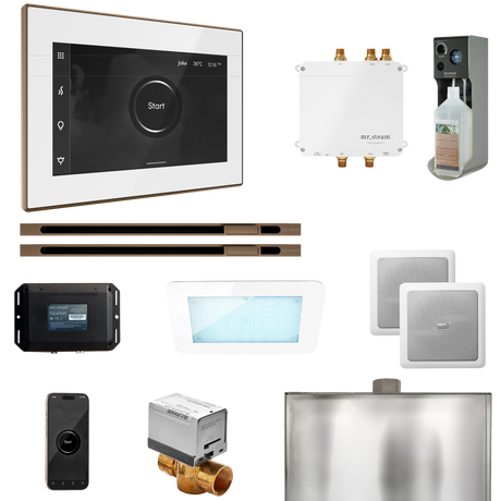 Mr. Steam Bliss Max Steam Shower Control Package with iSteamX Control and Linear Steamhead Mr. Steam