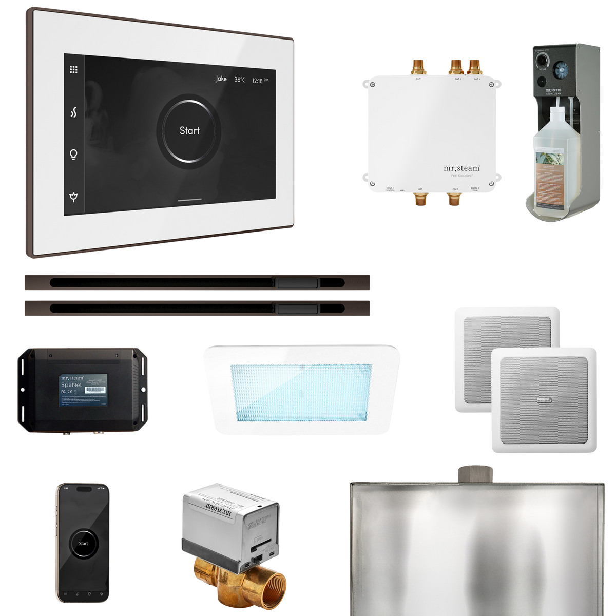Mr. Steam Bliss Max Steam Shower Control Package with iSteamX Control and Linear Steamhead Mr. Steam