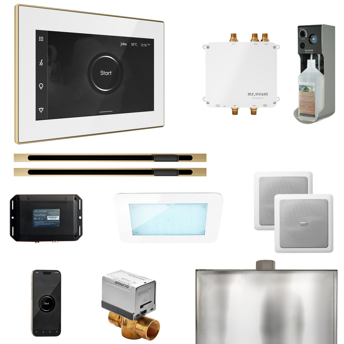 Mr. Steam Bliss Max Steam Shower Control Package with iSteamX Control and Linear Steamhead Mr. Steam
