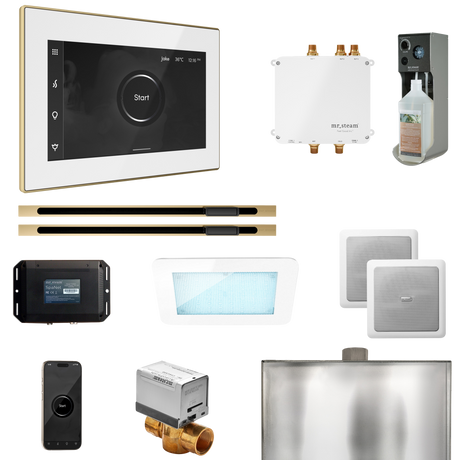 Mr. Steam Bliss Max Steam Shower Control Package with iSteamX Control and Linear Steamhead Mr. Steam
