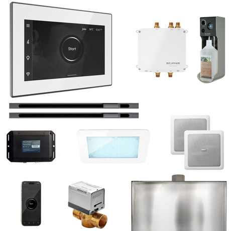 Mr. Steam Bliss Max Steam Shower Control Package with iSteamX Control and Linear Steamhead Mr. Steam