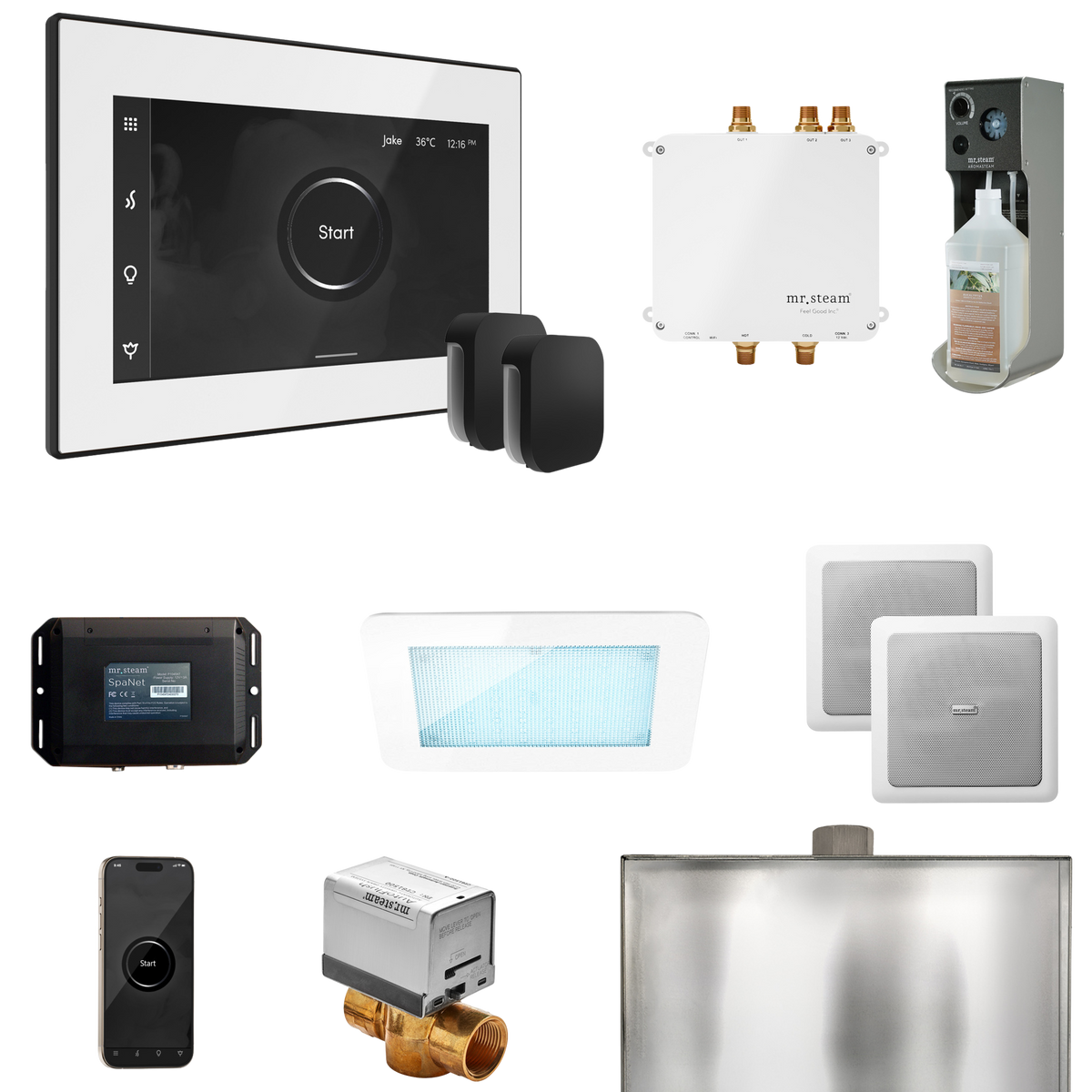 Mr. Steam Bliss Max Steam Shower Control Package with iSteamX Control and Steamhead Mr. Steam