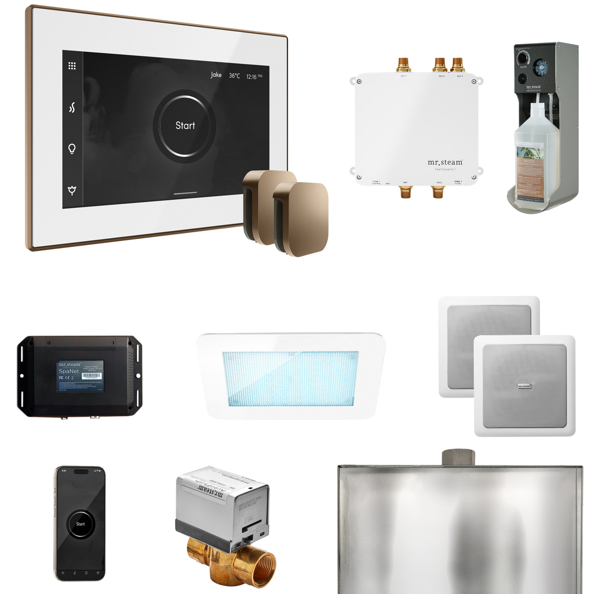 Mr. Steam Bliss Max Steam Shower Control Package with iSteamX Control and Steamhead Mr. Steam
