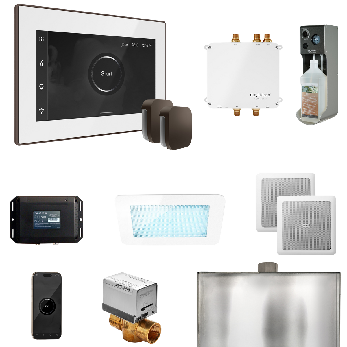 Mr. Steam Bliss Max Steam Shower Control Package with iSteamX Control and Steamhead Mr. Steam