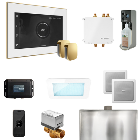 Mr. Steam Bliss Max Steam Shower Control Package with iSteamX Control and Steamhead Mr. Steam