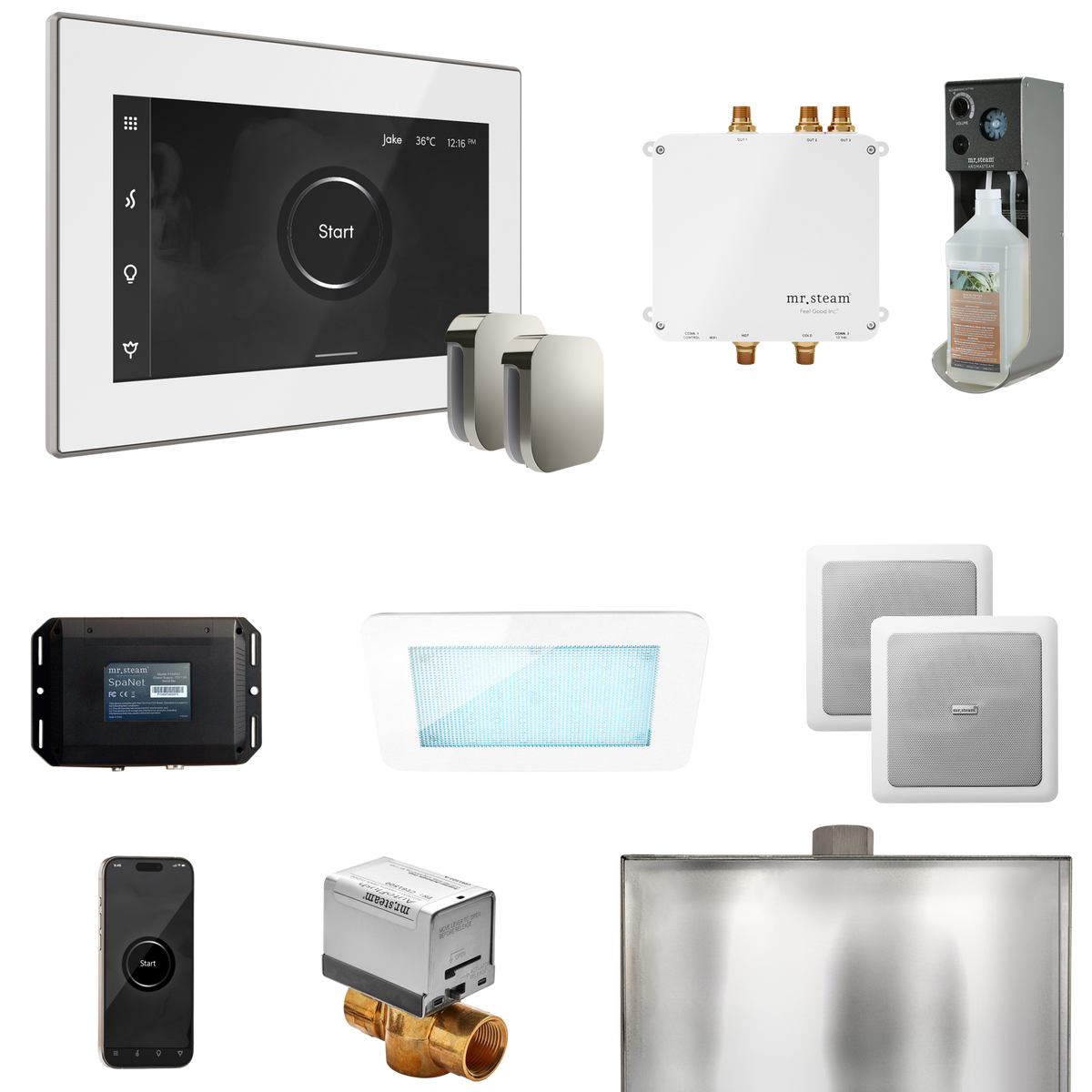 Mr. Steam Bliss Max Steam Shower Control Package with iSteamX Control and Steamhead Mr. Steam