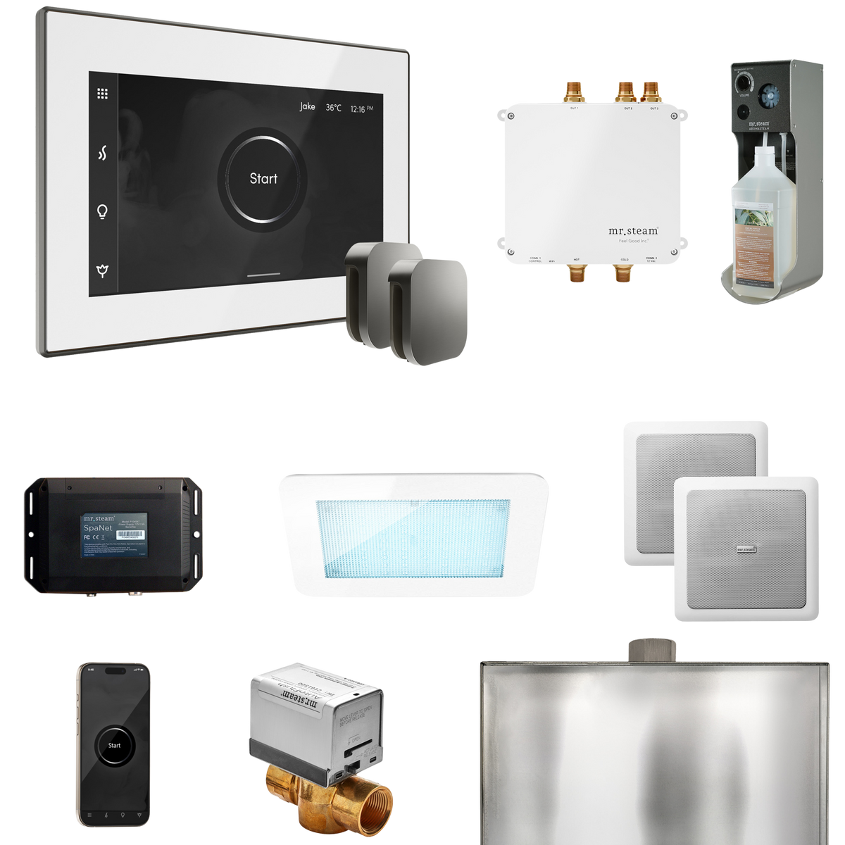 Mr. Steam Bliss Max Steam Shower Control Package with iSteamX Control and Steamhead Mr. Steam