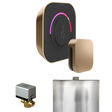 Mr. Steam ButlerTouch Steam Shower Control Package with TempoTouch Control and Steamhead Mr. Steam