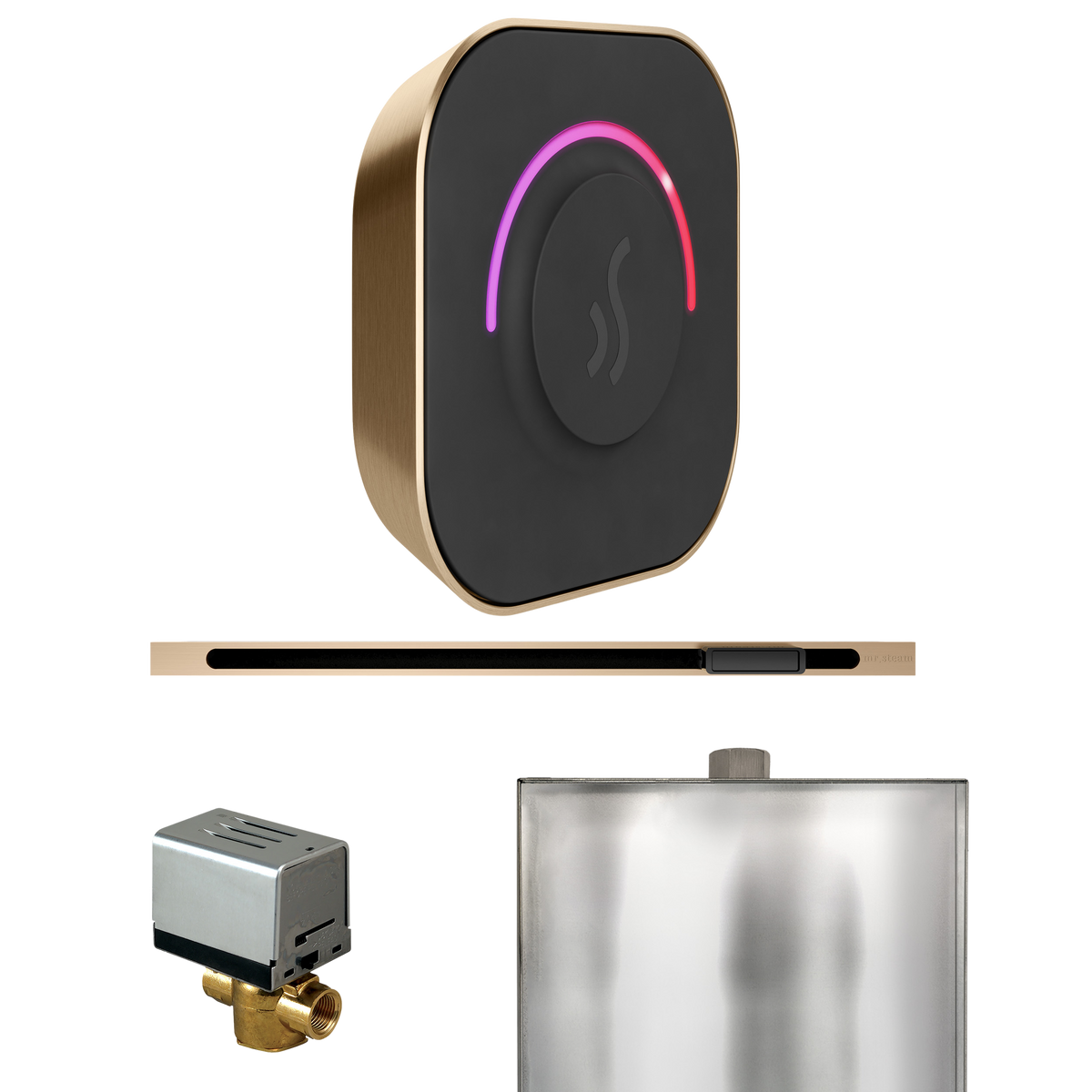 Mr. Steam ButlerTouch Steam Shower Control Package with TempoTouch Control and Linear Steamhead Mr. Steam