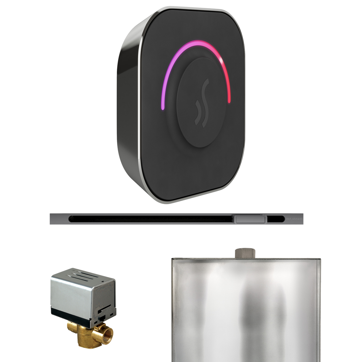 Mr. Steam ButlerTouch Steam Shower Control Package with TempoTouch Control and Linear Steamhead Mr. Steam