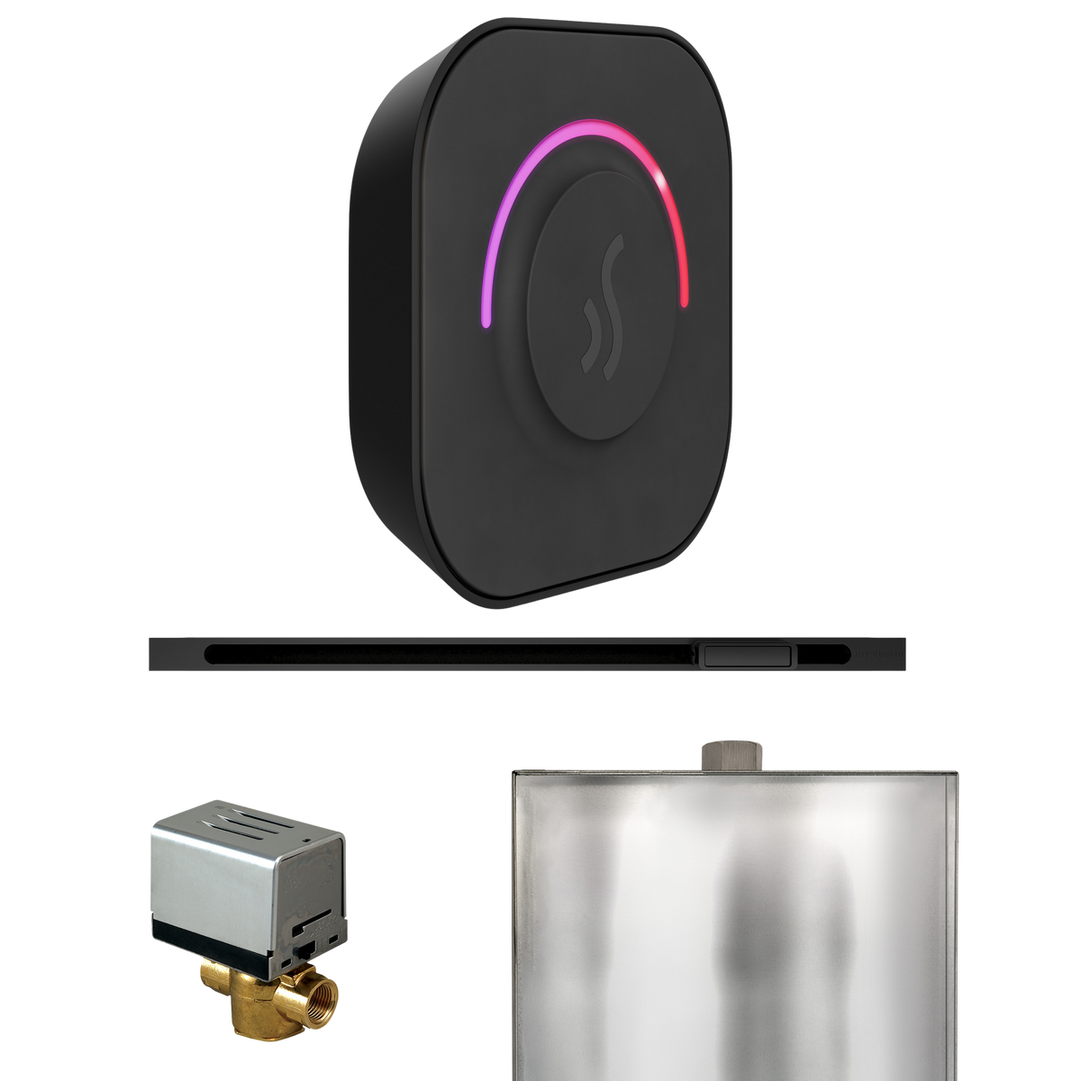 Mr. Steam ButlerTouch Steam Shower Control Package with TempoTouch Control and Linear Steamhead Mr. Steam