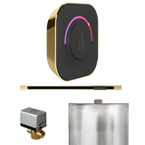 Mr. Steam ButlerTouch Steam Shower Control Package with TempoTouch Control and Linear Steamhead Mr. Steam