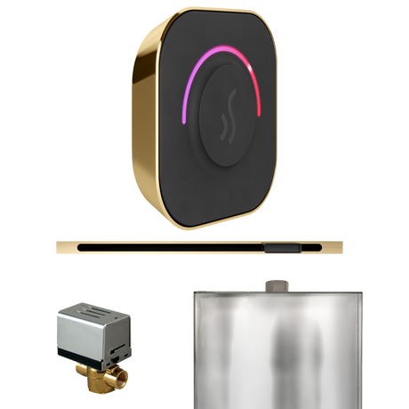 Mr. Steam ButlerTouch Steam Shower Control Package with TempoTouch Control and Linear Steamhead Mr. Steam