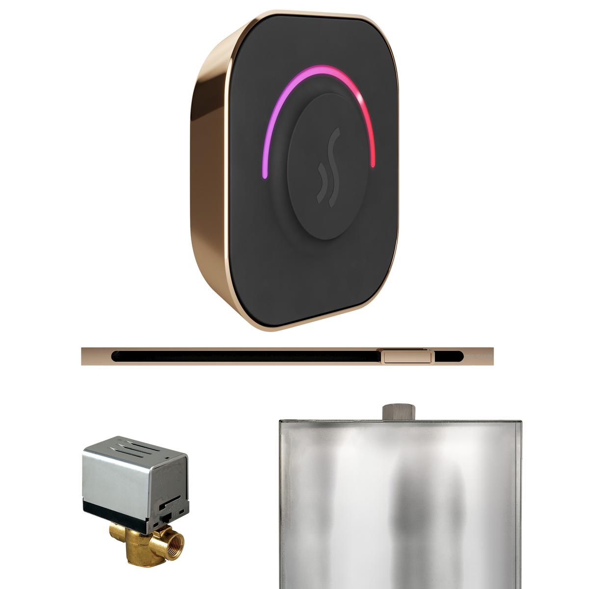 Mr. Steam ButlerTouch Steam Shower Control Package with TempoTouch Control and Linear Steamhead Mr. Steam