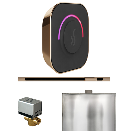 Mr. Steam ButlerTouch Steam Shower Control Package with TempoTouch Control and Linear Steamhead Mr. Steam