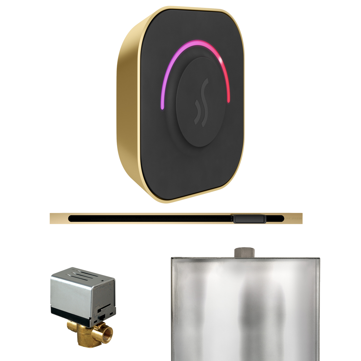 Mr. Steam ButlerTouch Steam Shower Control Package with TempoTouch Control and Linear Steamhead Mr. Steam