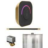 Mr. Steam ButlerTouch Steam Shower Control Package with TempoTouch Control and Linear Steamhead Mr. Steam
