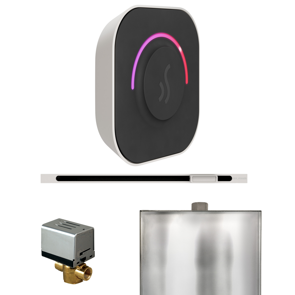 Mr. Steam ButlerTouch Steam Shower Control Package with TempoTouch Control and Linear Steamhead Mr. Steam