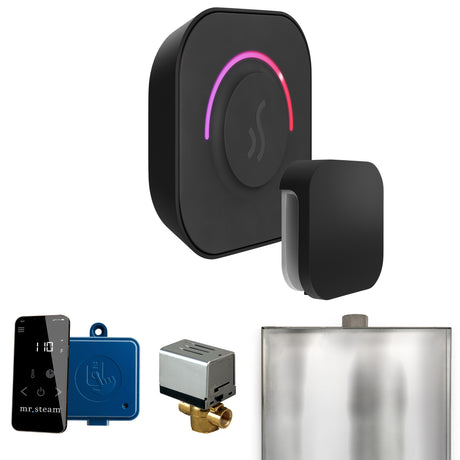 Mr. Steam ButlerTouch Steam Shower Control Package with TempoTouch Control and Steamhead