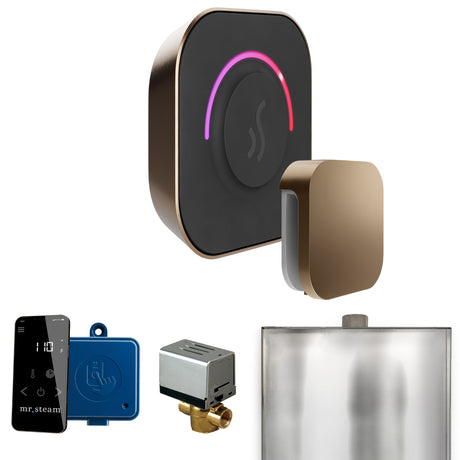 Mr. Steam ButlerTouch Steam Shower Control Package with TempoTouch Control and Steamhead
