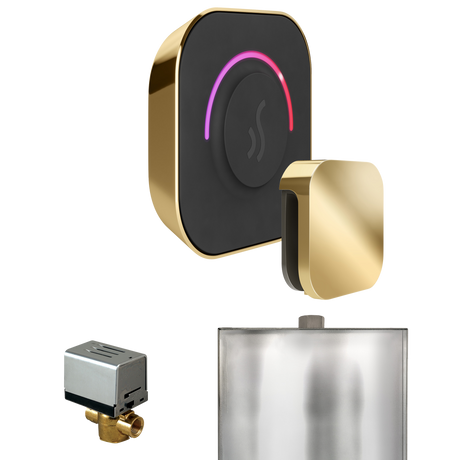 Mr. Steam ButlerTouch Steam Shower Control Package with TempoTouch Control and Steamhead Mr. Steam